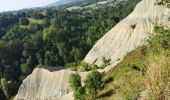 Tour Wandern Rosières - Ravin de corbeuf  - Photo 4