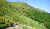 Tour Wandern Laveissière - Cantal - le Lioran - Bec de l Aigle - 10.8km 540m 4h55 - 2019 06 26 - Photo 7