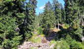 Tocht Te voet Borșa - Complexul Turistic Borșa – Cascada Cailor – Pasul Prislop (red triangle) - Photo 9