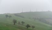 Percorso A piedi Scandiano - Anello di Ca' de Caroli - Photo 10