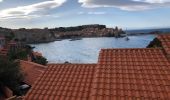Randonnée Marche Banyuls-sur-Mer - Banyuls port a Collioure - Photo 1
