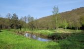 Tour Wandern Gedinne - rando vencimonr 01/05/2024 - Photo 15