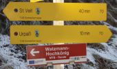 Tour Zu Fuß Sankt Veit im Pongau - Urpass-Gamskögerl-Hochegg - Photo 6