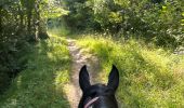 Trail Horseback riding Ansó - Anso - Isaba - Photo 3