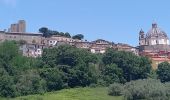 Excursión Senderismo Bolsena - Acquapendente / Montefiascone - Photo 1