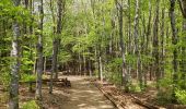 Trail Walking Gouvy - Au fil de l'eau - Gouvy   - Photo 11