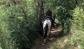 Trail Horseback riding Torla-Ordesa - Parc National d’Ordessa J1 am Torla-Oto - Photo 6