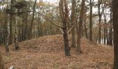 Percorso A piedi Faßberg - Südheide 'Sagenhafte Sicht im Elfenland' W4m (mittlere Tour) - Photo 6