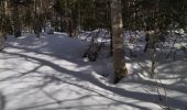 Randonnée Raquettes à neige Corrençon-en-Vercors - 38 cabane combe de fer et serre de play et goupette - Photo 5