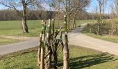 Trail Walking Somme-Leuze - 20,5 km M Sentiers des arts Havelange 20km - Photo 9