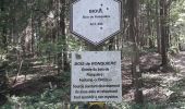 Randonnée Marche Anhée - Boucle de 11 km au départ de Warnant - Photo 2