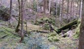 Trail Walking Nances - MONTAGNE DE L'EPINE: COTES DE NANCES - Photo 6