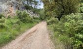 Randonnée Marche Mérindol - PF-Puget - Autour du Vallon du Dégoutau - 03.06.2021 - Photo 2