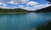 Trail Walking Unknown - lac Noir en famille - Photo 1