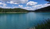 Tocht Stappen Unknown - lac Noir en famille - Photo 1