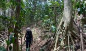 Tocht Noords wandelen Saint-Esprit - La forêt bois la Charles - Photo 4