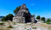 Excursión A pie Orgosolo - Grande Traversata Supramontes Tappa 2 - Photo 8