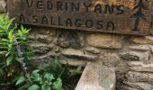 Tour Wandern Saillagouse - 20210627 à partir de Saillagouse  - Photo 5