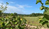 Tour Wandern Alligny-en-Morvan - Alligny en Morvan chemin des légendes - Photo 5