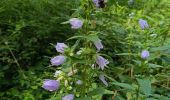 Trail Walking Bouilly - Juillet 10 2025 - Photo 1
