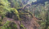 Percorso Marcia Massegros Causses Gorges - GR DE PAYS Causse Mejean et Gorges du Tarn  - Photo 9