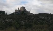 Randonnée Marche Lamanon - le château de la reine Jeanne  - Photo 5