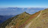 Tocht Stappen Saint-Mury-Monteymond - Col et Pointe de La Sitre - Photo 3