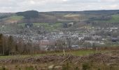 Tocht Stappen Stavelot - Stavelot - 13 ou 18 km - Photo 5