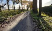 Tocht Stappen Moerbeke - Moerbeke 26,5 km - Photo 5