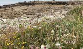 Tocht Stappen Penmarc'h - Penmarc’h - Photo 2