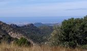 Trail Walking Plan-d'Aups-Sainte-Baume - plan d'aups ste baume - Photo 9