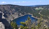 Trail Walking Orbey - lac blanc, gazon du faing, lac noir, rocher Hans, lac blanc  - Photo 3