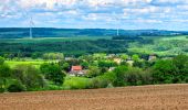 Tour Wandern Foulain - Boucle 18 km autour de Foulain - Photo 4