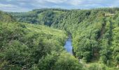 Tocht Stappen Houffalize - Escapardenne Eisleck Trail: Nadrin - La Roche-en-Ardenne - Photo 3