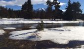 Tocht Sneeuwschoenen La Llagonne - Le long du têt  - Photo 8