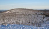 Tour Zu Fuß Waldhäuser Wald - Ranne - Photo 10