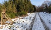 Trail Walking Tellin - Grupont au Bois de Machi - Photo 2