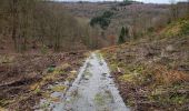 Trail Walking Wellin - Daverdisse 040124 - Photo 10