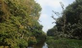 Tocht Te voet Leck - Historischer Westlicher Ochsenweg und Langenberger Forst - Photo 4