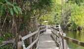 Tocht Stappen Saint-Louis - Marie Galante- Sentier de Vieux et Anse de l Église  - Photo 1