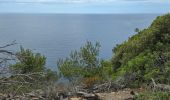 Tocht Stappen Hyères - Rando Porquerolle - Photo 5