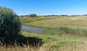 Randonnée Marche Sluis - Autre balade à trotinette autour de Sluis - Photo 6