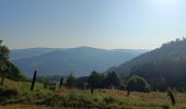 Trail Walking Vagney - Circuit tourbière de la charme/ chalet des fraiteux - Photo 1