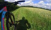 Tocht Mountainbike Assesse - courriere - Photo 4
