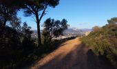 Tocht Stappen Six-Fours-les-Plages - Tour du Fort de Six Fours - Photo 2