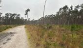 Trail Walking Kalmthout - Kalmthout parcours Park 24,4 km - Photo 10