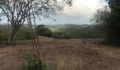 Trail Walking Sainte-Anne - Boucle des mangue - Photo 4
