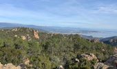 Randonnée Marche Saint-Raphaël - Les Suvières depuis Belle Barbe - Photo 8