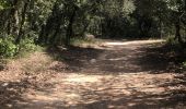 Excursión Senderismo La Garde-Adhémar - Le Val des Nymphes  - Photo 2