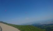 Excursión Senderismo Orcines - ascension puy de dôme départ col de ceyssat par chemin des muletiers 2019-07-03 - Photo 4